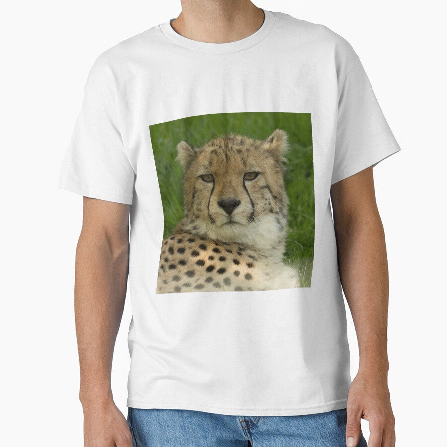 Cheetah close up by Conservation Art Emporium