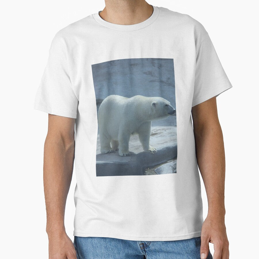 Bear Image by Jodes16
