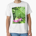 The Tender Pink Blossom of Spring by Photomersion
