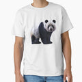Giant Panda – Realistic Wildlife Portrait by Massimo Righi