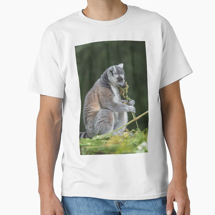 Ring-tailed Lemur by Conservation Art Emporium