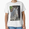 Zebra 6935 by Strawflower Oasis