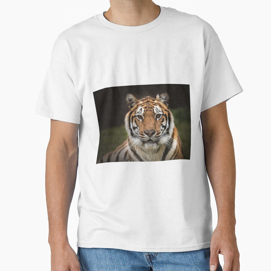 Tiger by Conservation Art Emporium