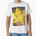 Fall is in the Air by Photomersion