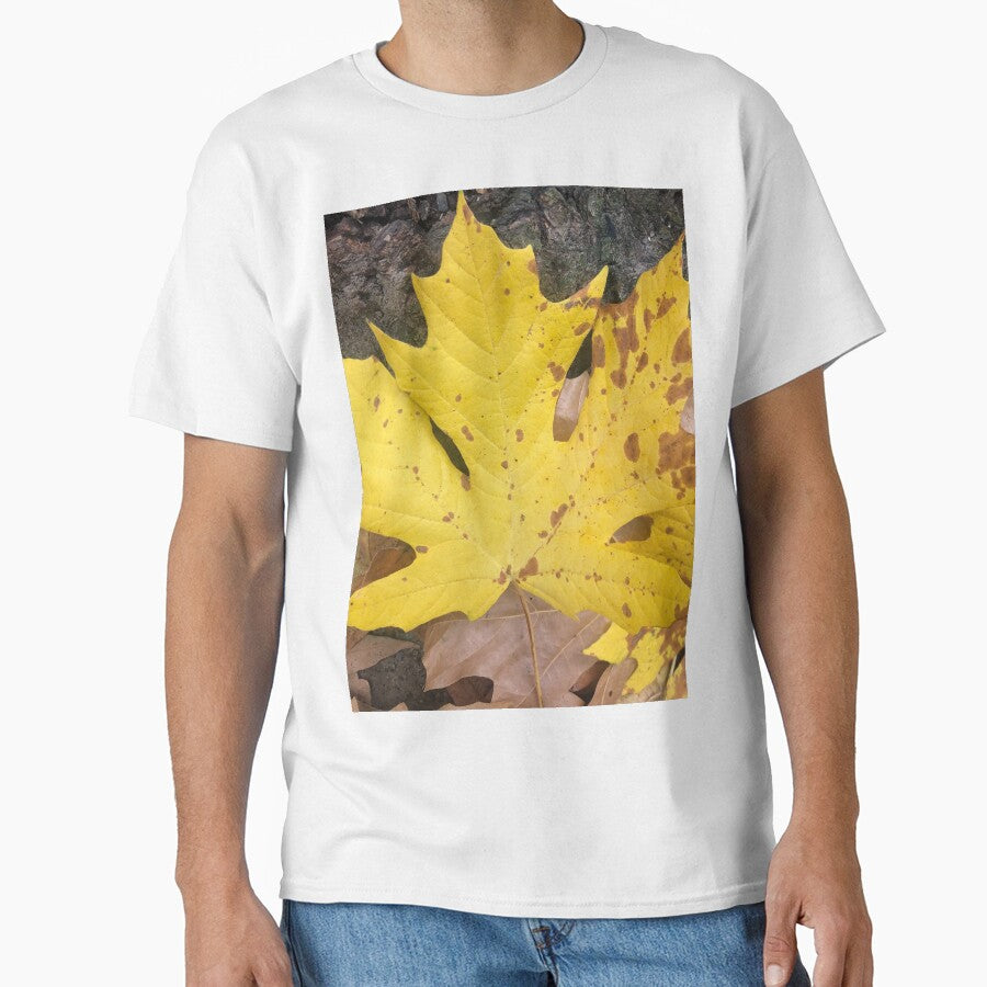 Fall is in the Air by Photomersion