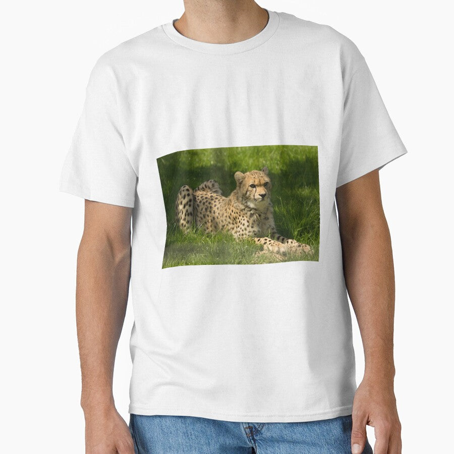 Cheetah by Conservation Art Emporium