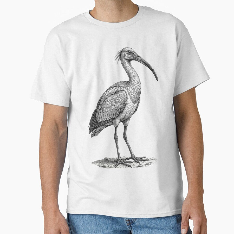 Realistic high detail black and white ibis by Minimalisticaly