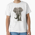African Elephant by FLIP-original