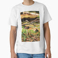 Oudemansiella Gigaspora Mushroom in Pine Forest at Golden Hour by Maddy the Maker
