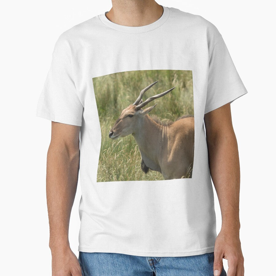 Antelope by Conservation Art Emporium