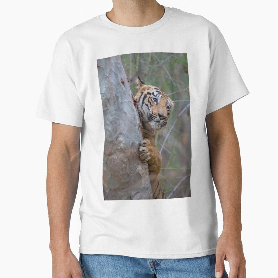 Tiger of India by Captive-Moment