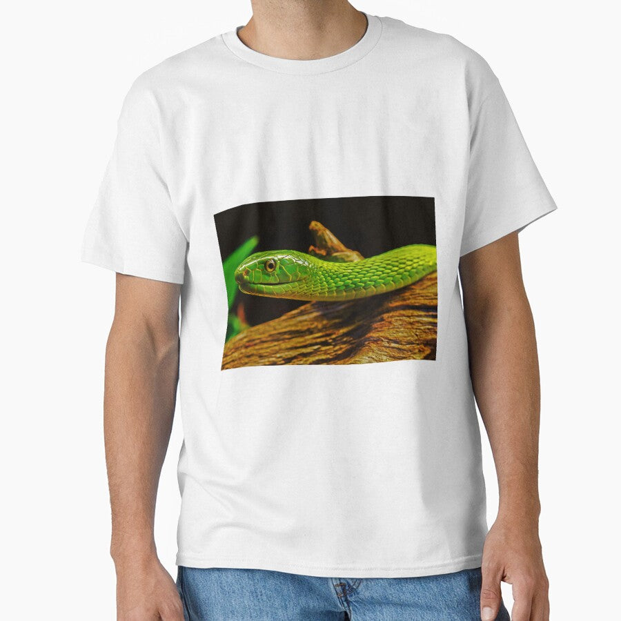 Green Mamba by purelightimages
