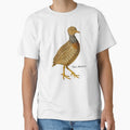 Plains Wanderer by Outback Geo Adventures