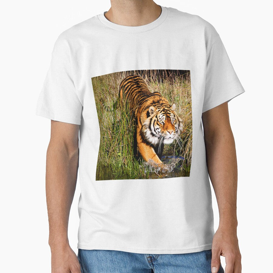 Sumatran Tiger (7) by Phil Le Cren