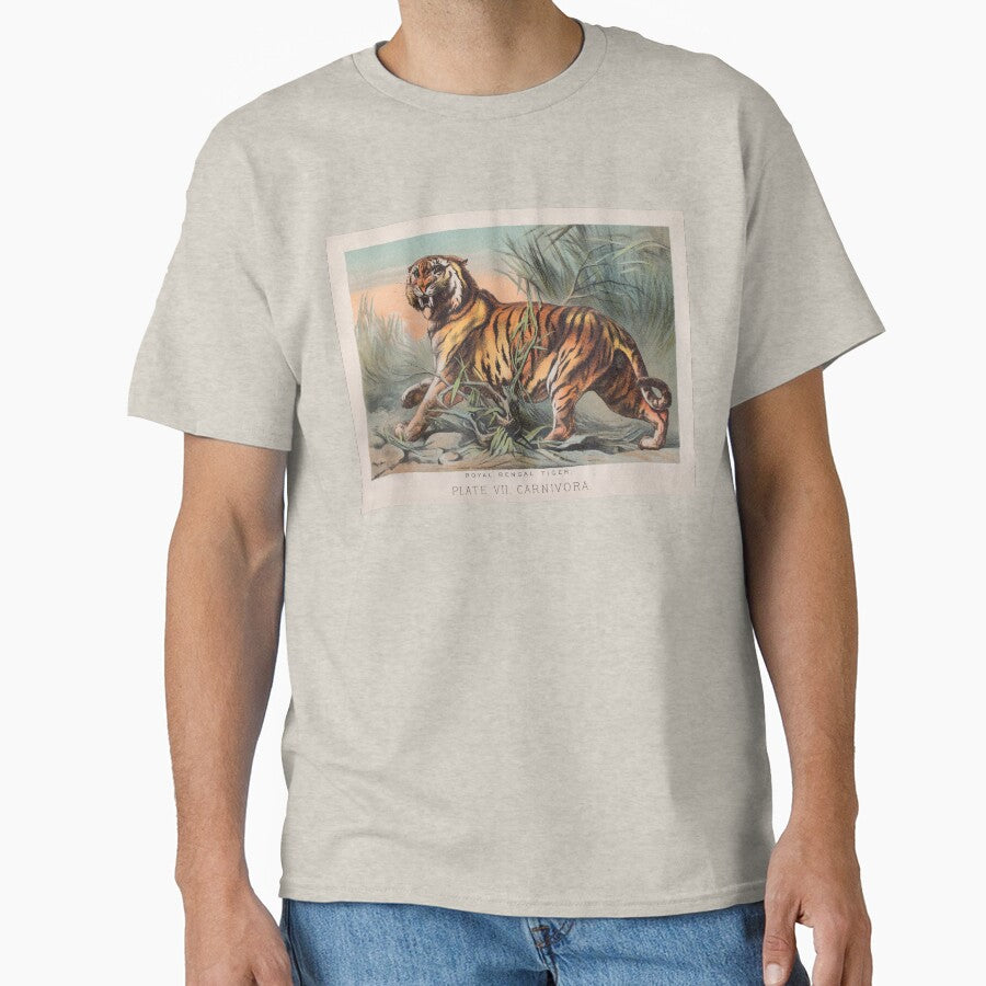 Bengal Tiger illustration by Vintage Designs +