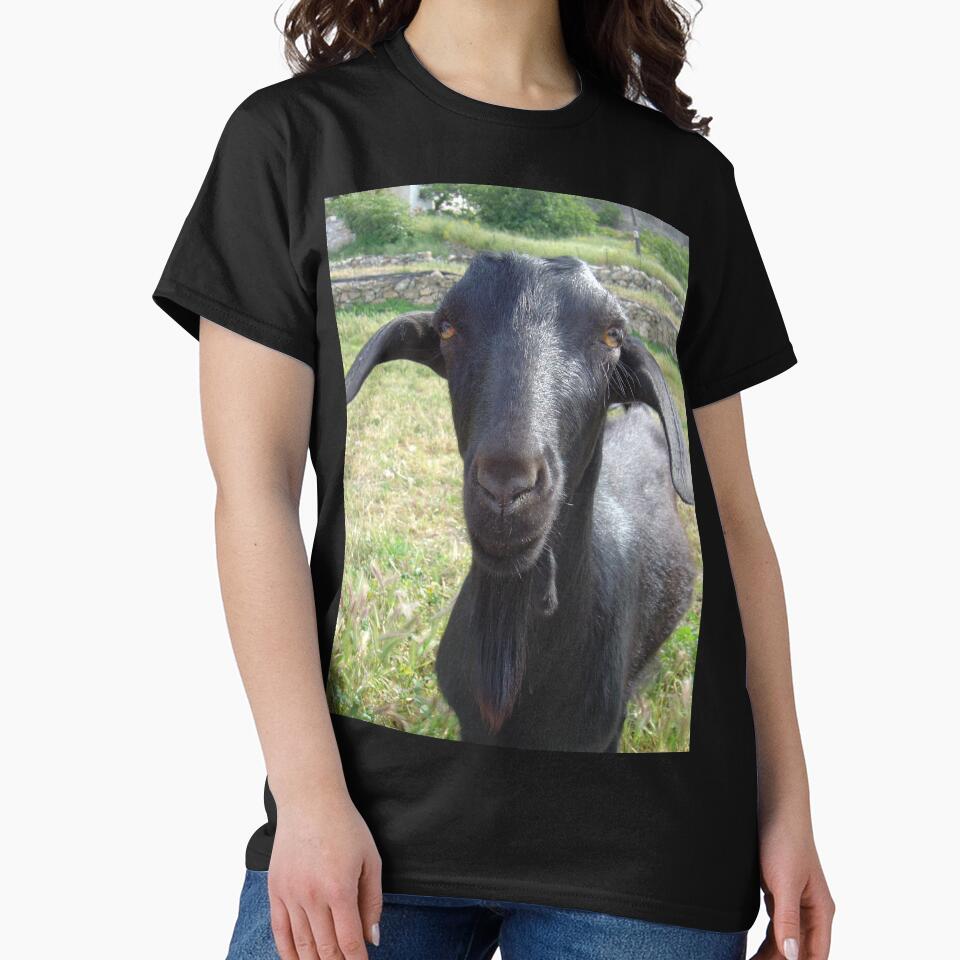 Black goat -  funny goat by animal-animal