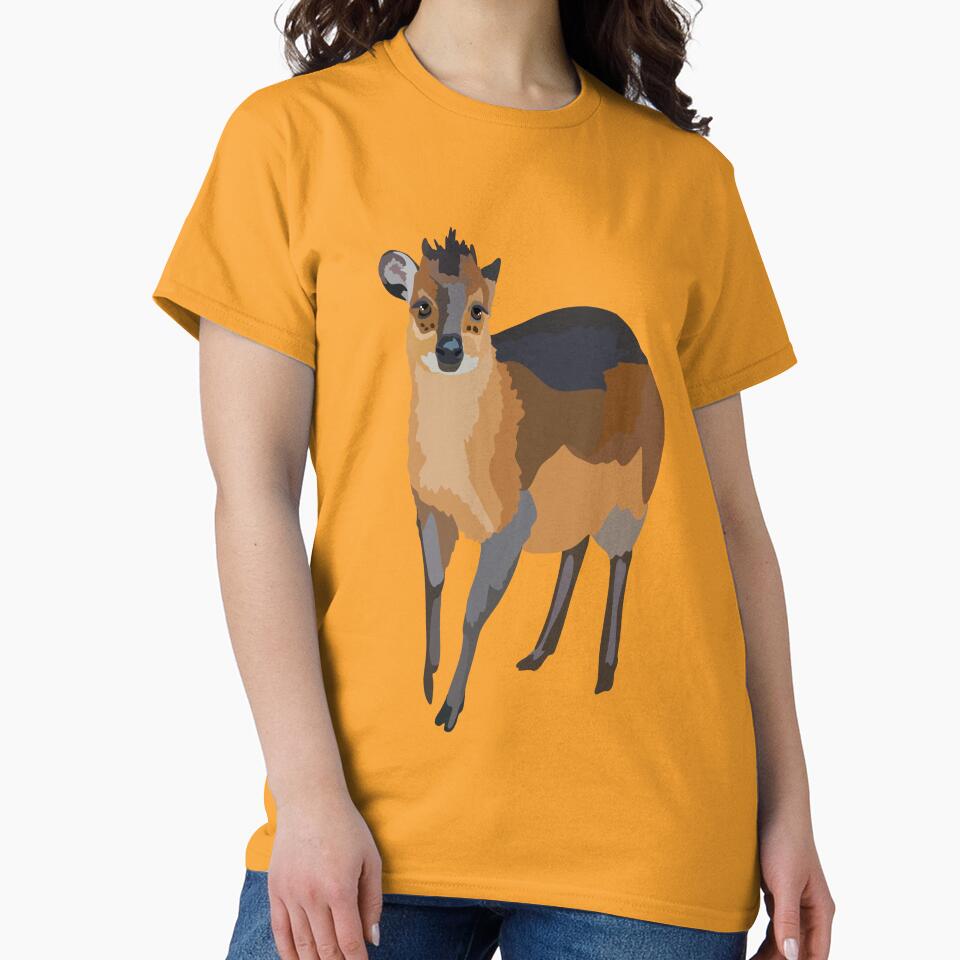 R is for Red Flanked Duiker, Red Flanked Duiker – Small African Antelope Wildlife Illustration by PrettylittlepastelUk