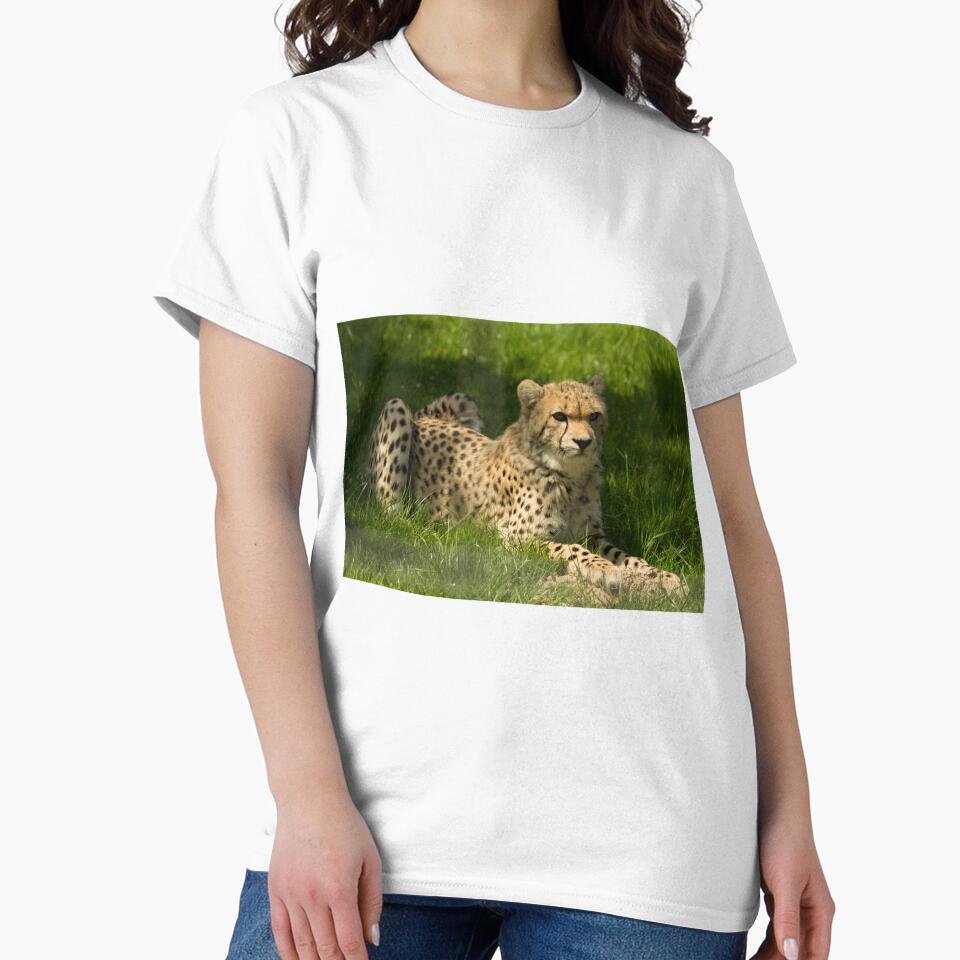 Cheetah by Conservation Art Emporium