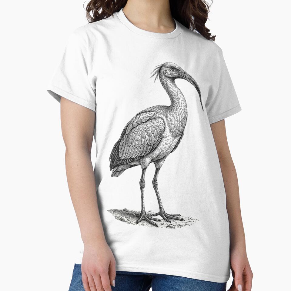 Realistic high detail black and white ibis by Minimalisticaly