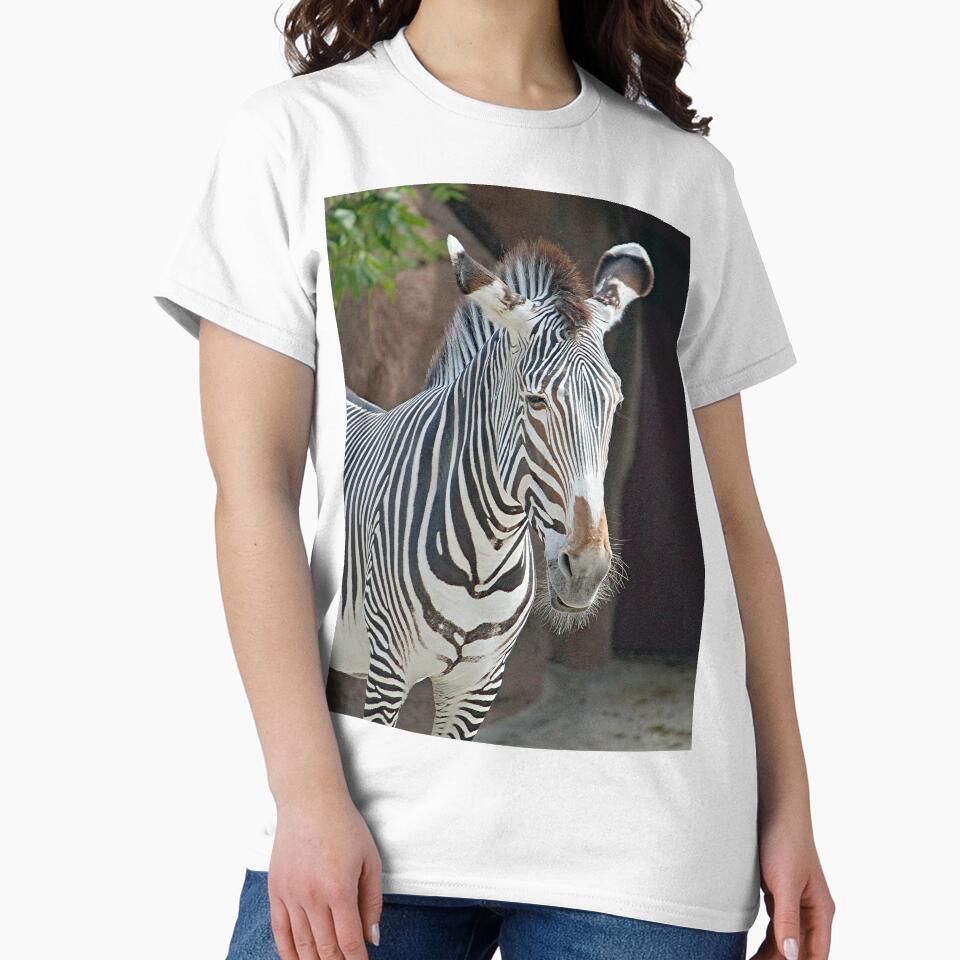 Zebra 6935 by Strawflower Oasis
