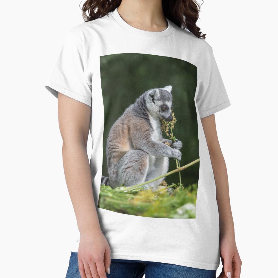 Ring-tailed Lemur by Conservation Art Emporium