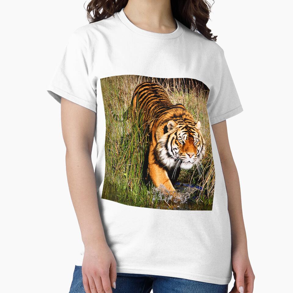 Sumatran Tiger (7) by Phil Le Cren