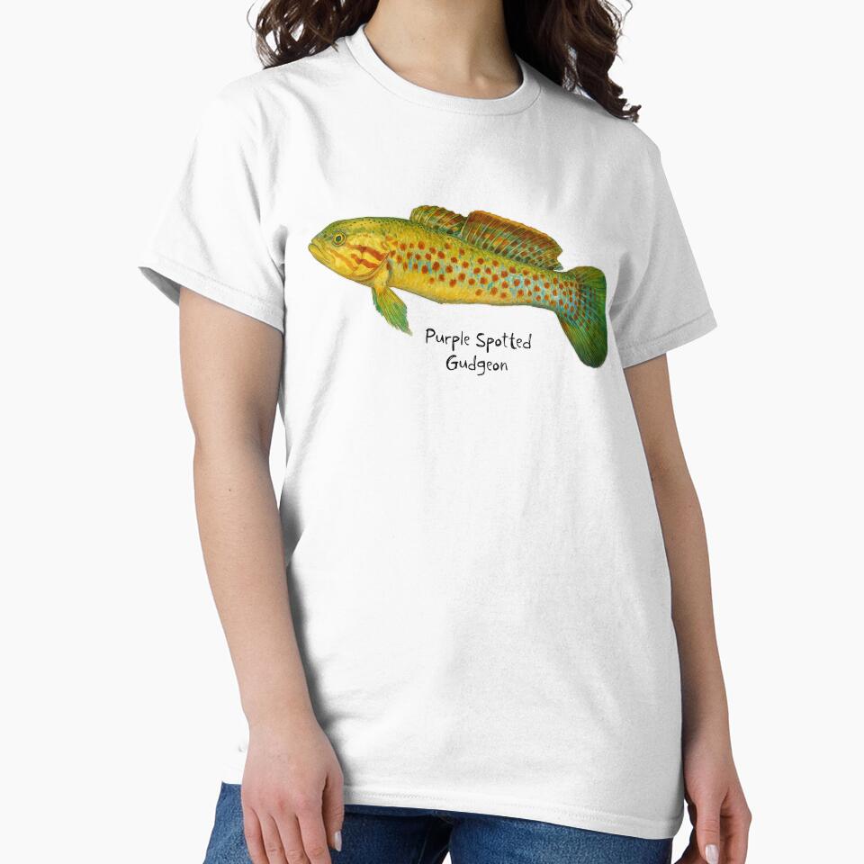 Purple Spotted Gudgeon by Outback Geo Adventures