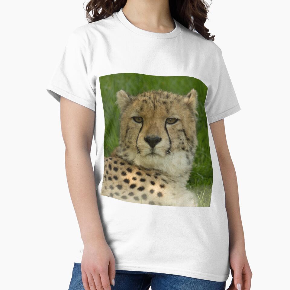 Cheetah close up by Conservation Art Emporium