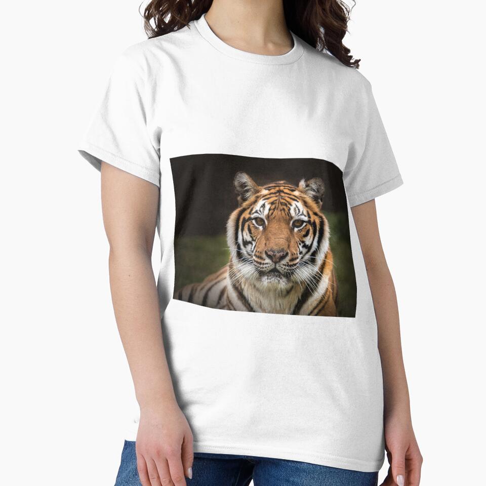 Tiger by Conservation Art Emporium