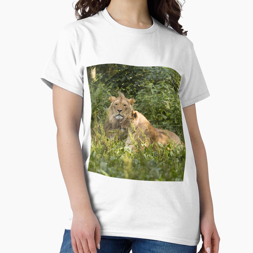 Young male lion & lioness by Conservation Art Emporium