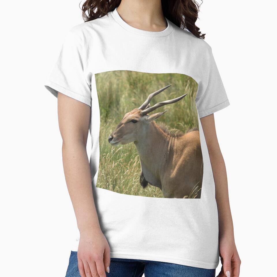 Antelope by Conservation Art Emporium