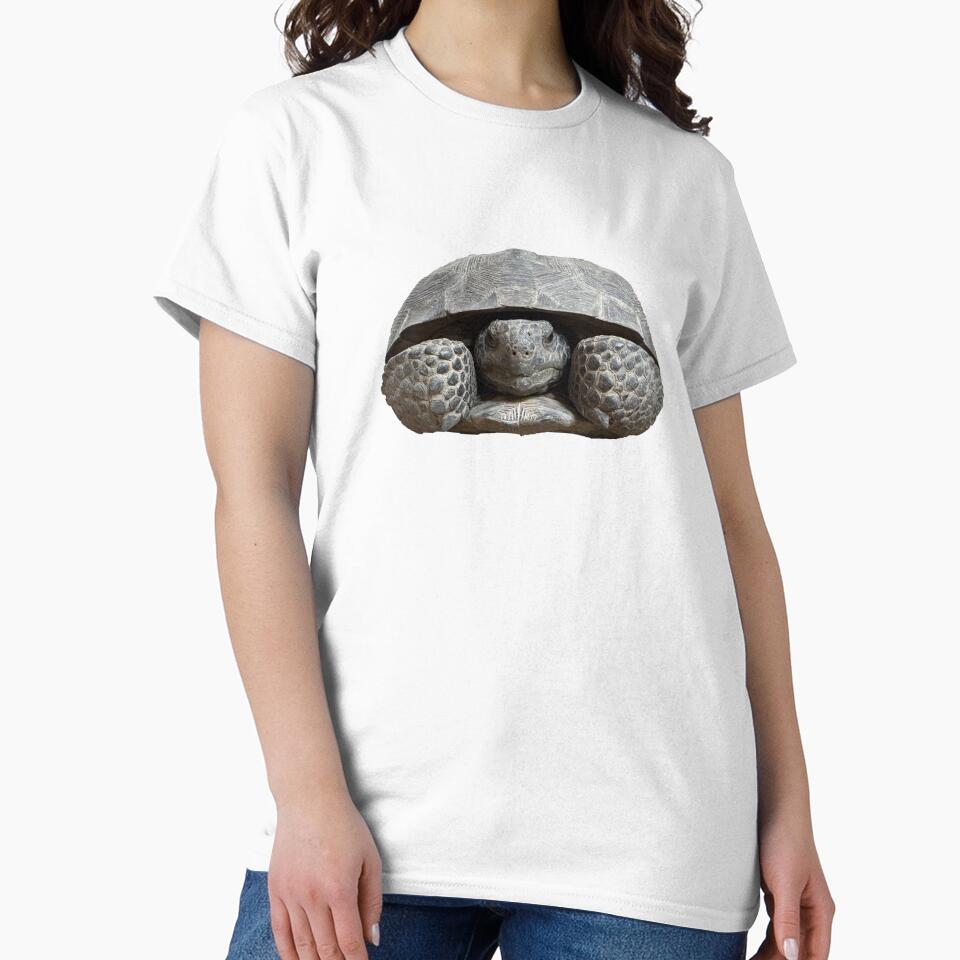 Smokey the Gopher Tortoise by SnowDog-Studios