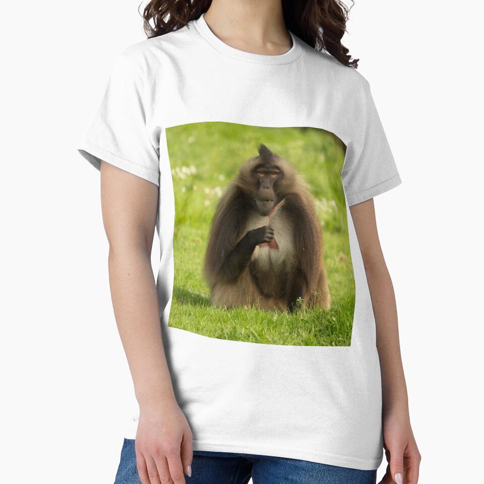 Gelada Baboon by Conservation Art Emporium