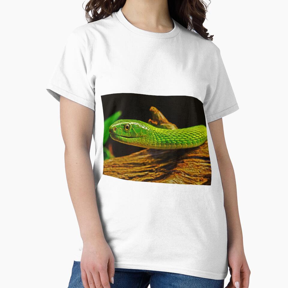 Green Mamba by purelightimages