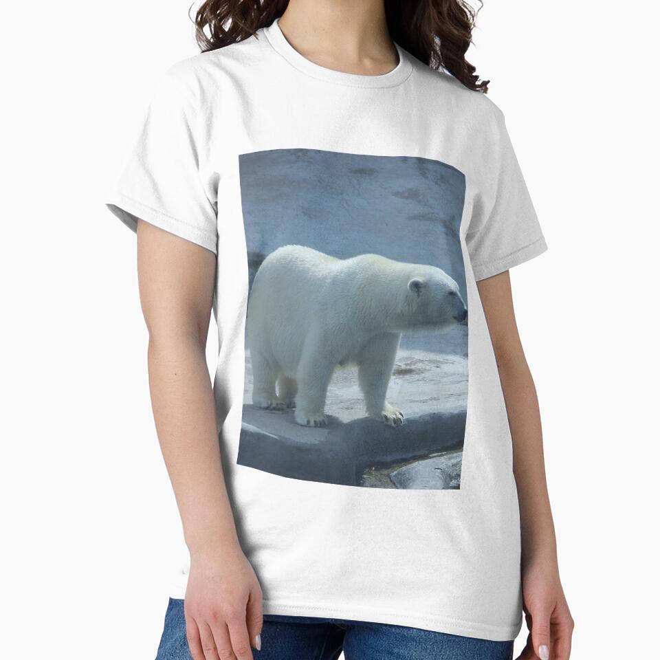 Bear Image by Jodes16