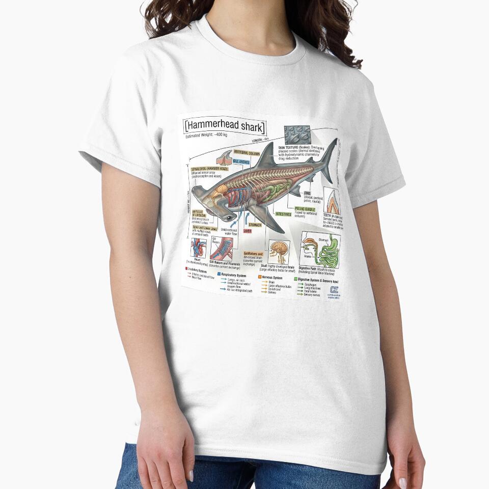 Hammerhead Shark - Sketch by CompEsp-Shop