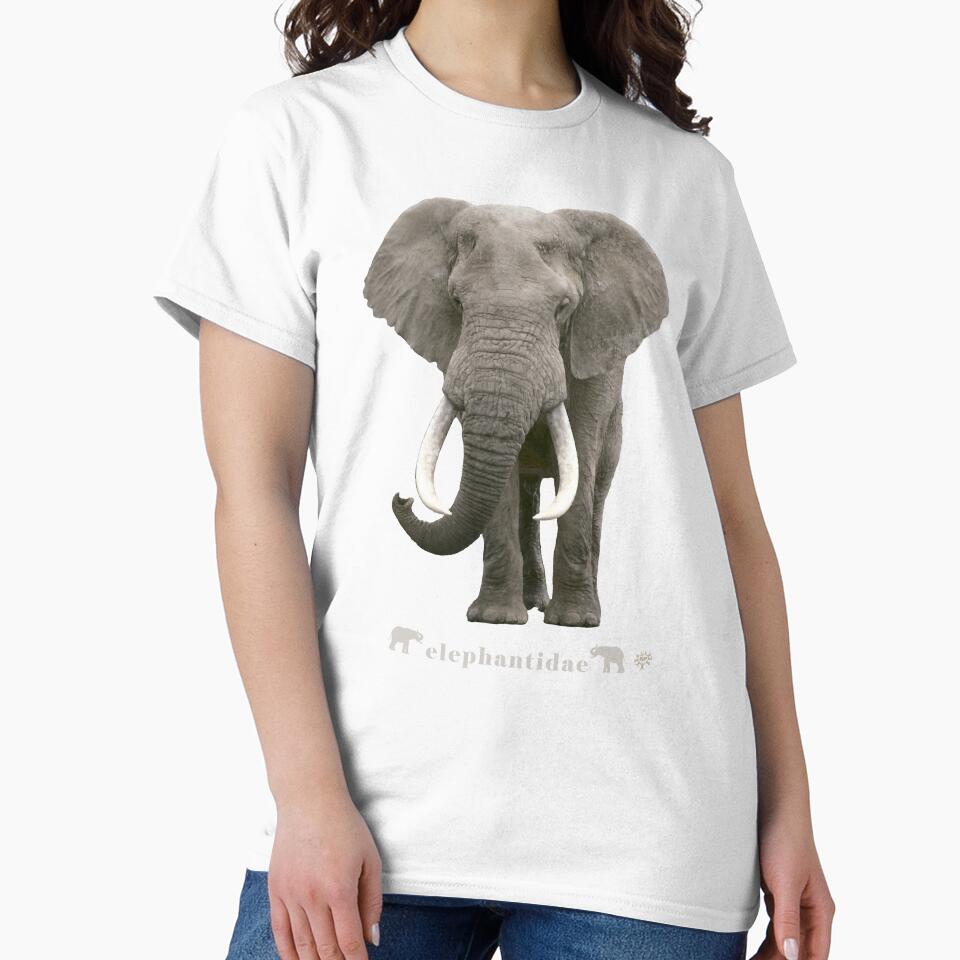 African Elephant by FLIP-original