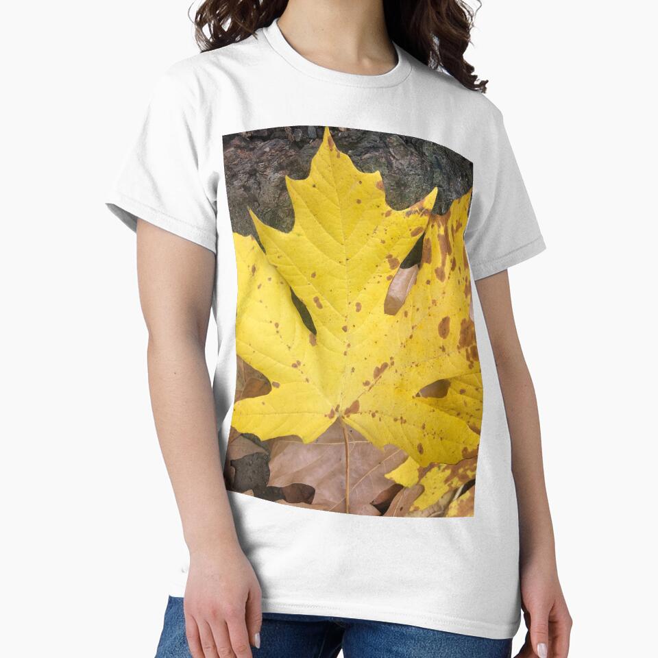Fall is in the Air by Photomersion
