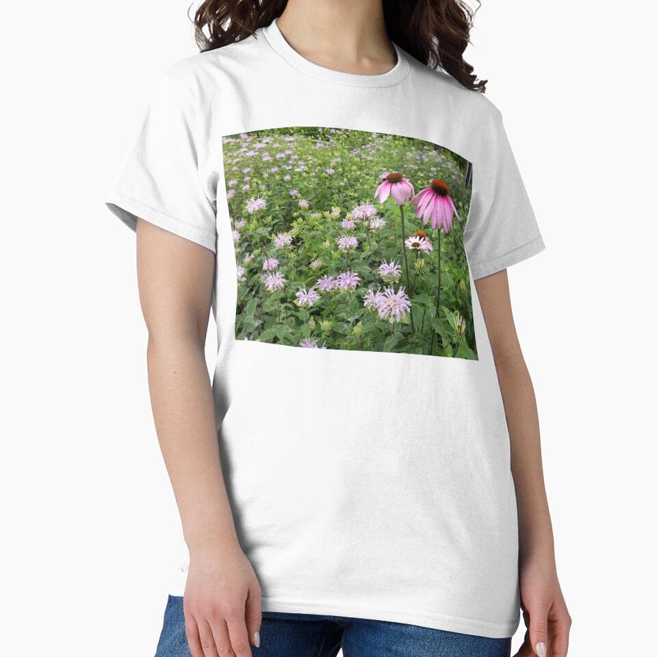 Purple Coneflower and Bergamont by Lori Clough