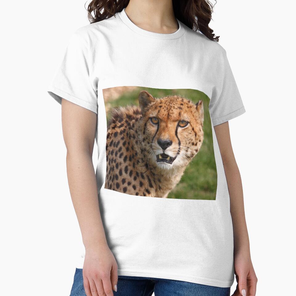Cheetah 3 by SWEEPER