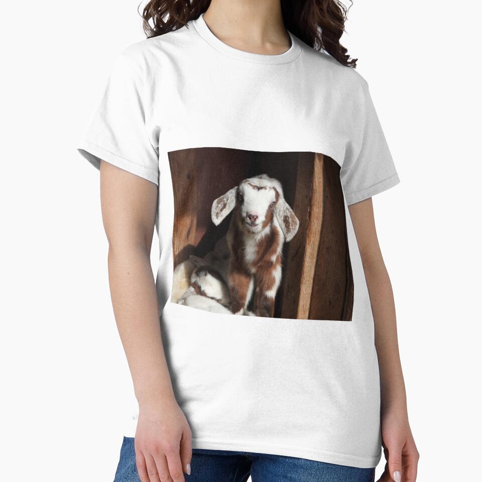 cute baby rabbit-faced goat by Stephanie  Skeem