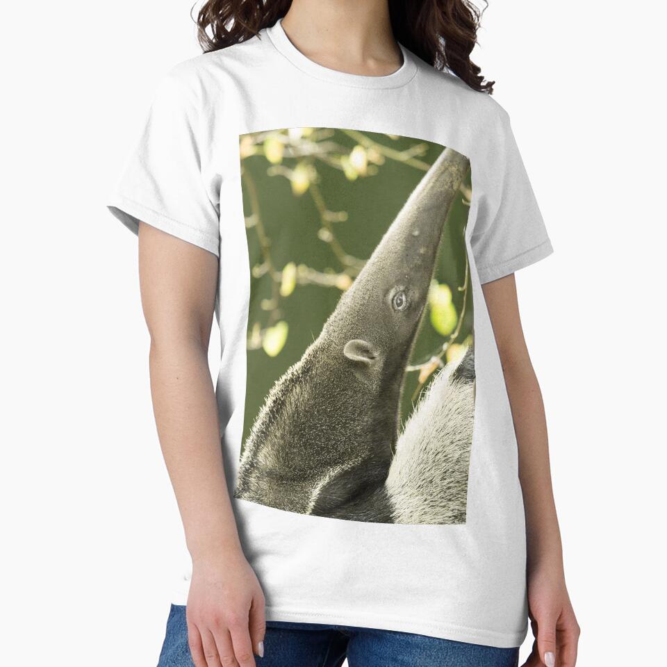 Giant Anteater by Conservation Art Emporium