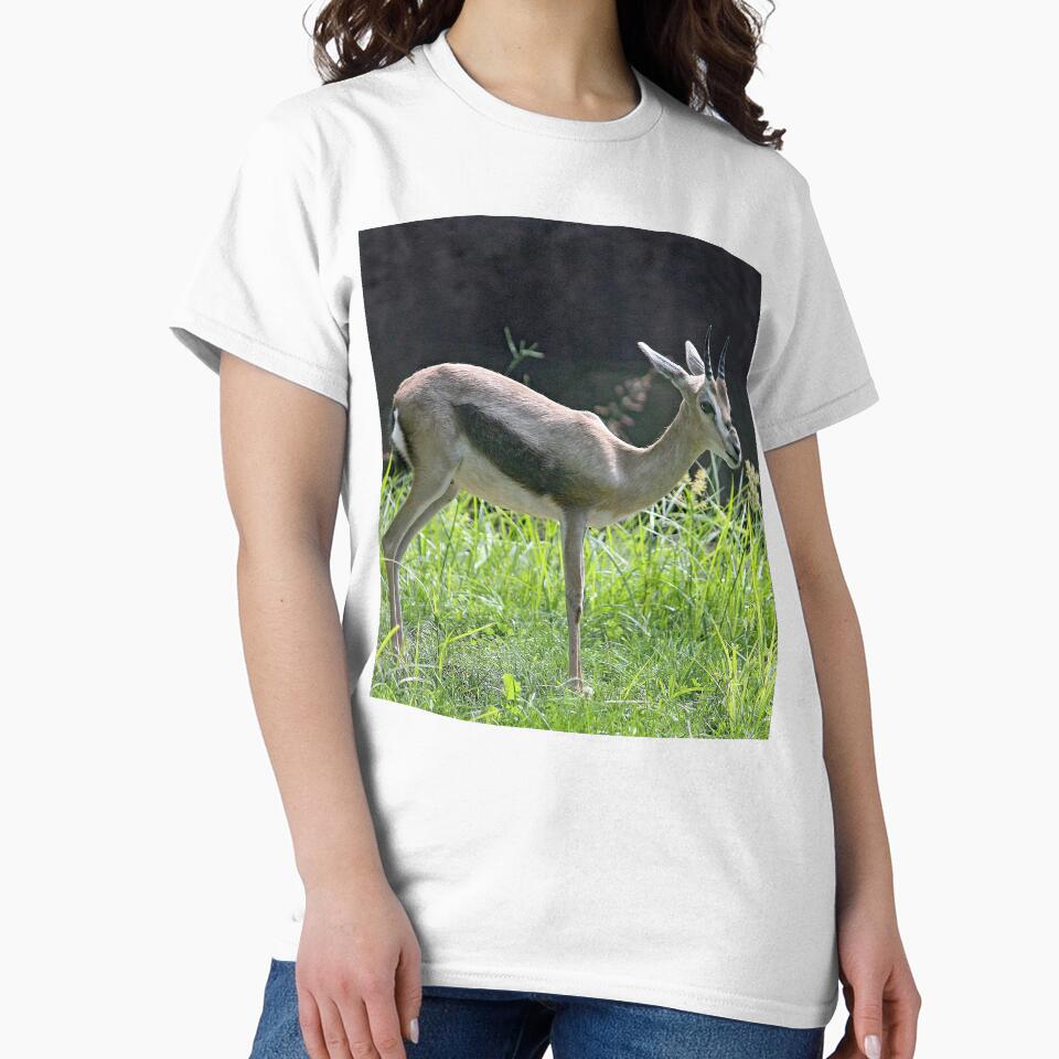 Speke's Gazelle by Strawflower Oasis