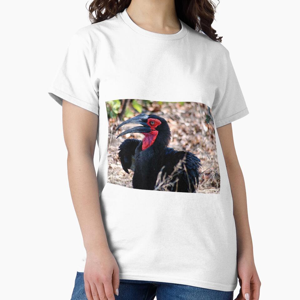 THE SOUTHERN GROUND HORNBILL by Magriet Meintjes