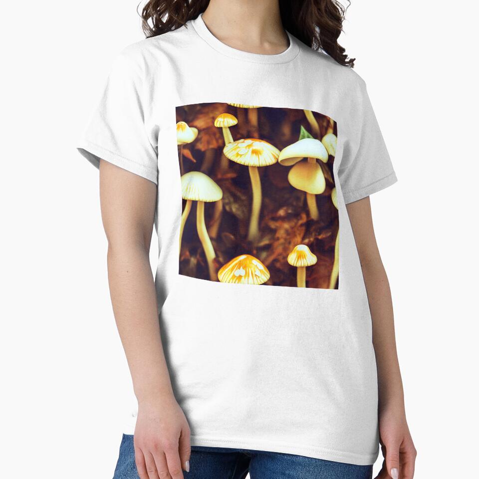 Small mushrooms growing from the forest floor by JinxedMonster