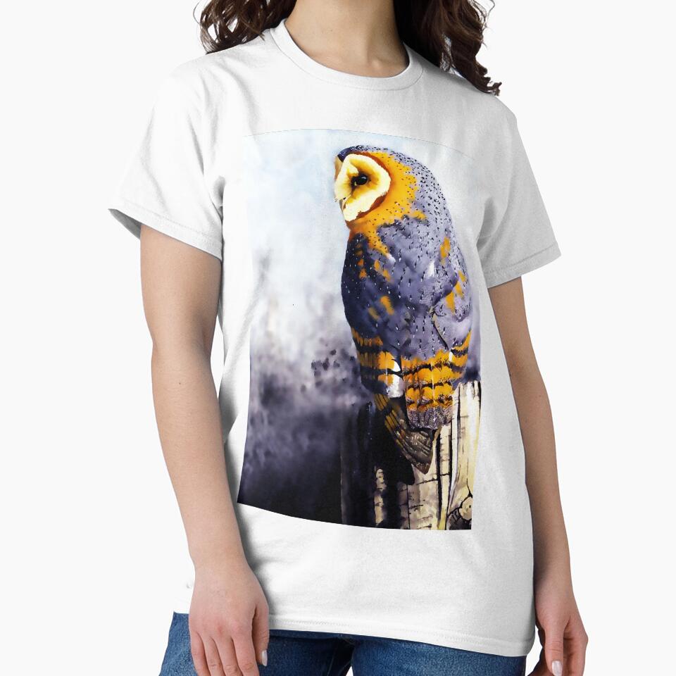 Barn Owl by Island Art Studios