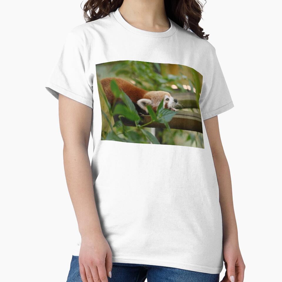 Red Panda Animal Lover Wildlife Mammal by JunoLoyder84