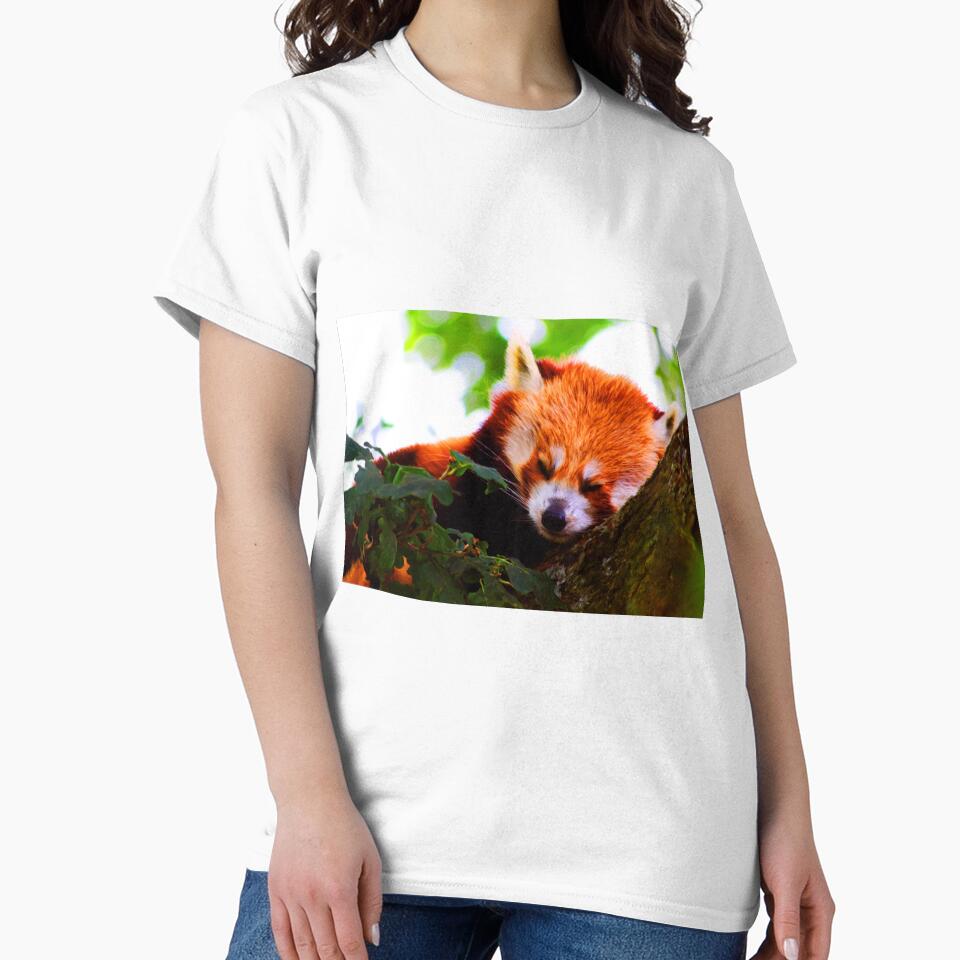 Red Panda by Focal-Art