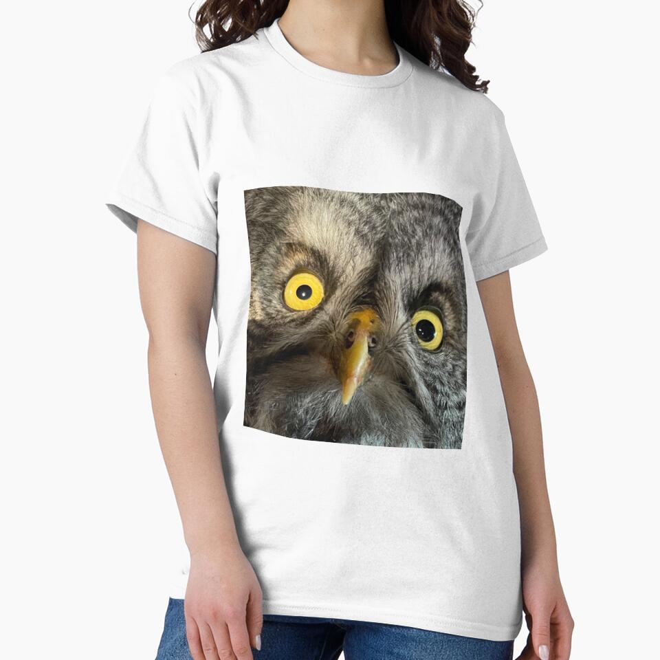 Owls by Ashley’sAnimalz