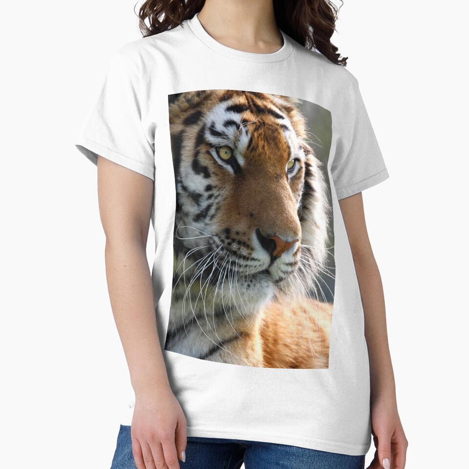 Eye of the Tiger by SWEEPER